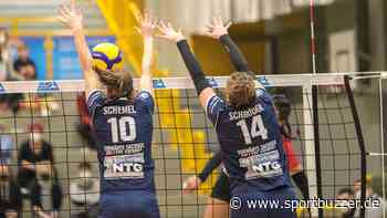 Vorwärts Sachsen Volleys richten die Krone und siegen in Bad Soden - Sportbuzzer