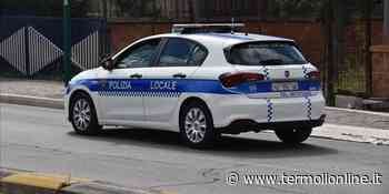 Richiesta di maxi risarcimento, precisazioni dal Comune - Termoli Online