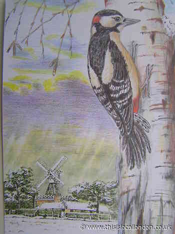 Nature Notes: Let's hear it for our woodpeckers