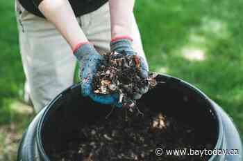 Bonfield residents set to get scrappy with food waste - BayToday.ca