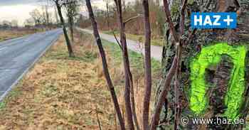 Hemmingen: Markierungen und Zeichen an Bäumen an K222 Wilkenburg-Harkenbleck - Hannoversche Allgemeine