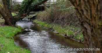 Arbeiten in Haaren: Am westlichen Ufer der Wurm werden Sträucher gerodet