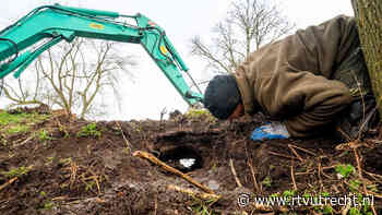 Bever graaft gat in Vianese kade: 'Ineens stroomde het water als een gek' - RTV Utrecht