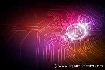 Guard cryptocurrency, cyberwallets carefully: security pro - Squamish Chief