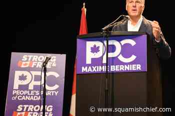 Online hate is harming Canadian journalism, report finds - Squamish Chief