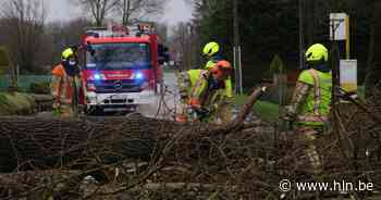 KMI waarschuwt met code geel voor intense neerslag en rukwinden: “De regen blijft op sommige plaatsen 24 uur aan een stuk vallen” - Het Laatste Nieuws