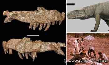 Fossil: 'Crocodile-like beast' with 'knife-like teeth' roamed Tanzania 240 million years ago