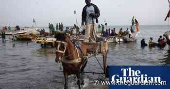 Fish oil and fishmeal industry harming food security in west Africa, warns UN - The Guardian