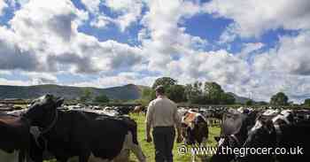 Organic food & drink sales break £3bn barrier - The Grocer
