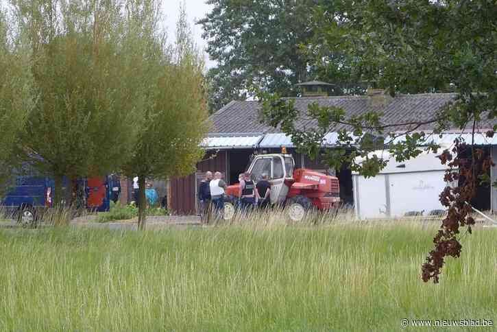Gerecht vraagt uitlevering van Nederlandse spilfiguren in “grootste drugslabo ooit in ons land”