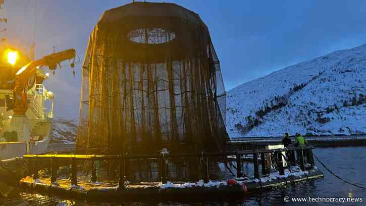 The Technocrat Mind: iFarm Fish On Way To Market