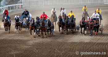 Chuckwagon races return to Calgary Stampede