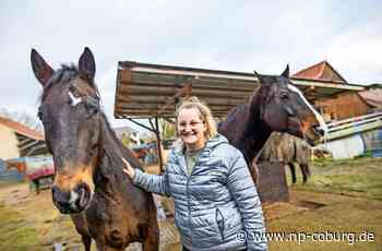 Mitstreiter dringend gesucht. - Itzgrund: Sorgen im Pferdeparadies - Neue Presse Coburg