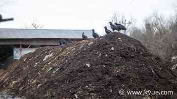 Foul odor lingers for neighbors near East Austin compost site - KVUE.com