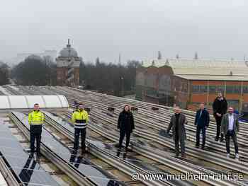 Der Kopf voll Energie