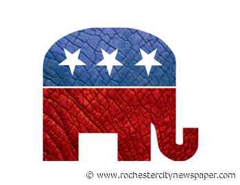 Businessman Len Morrell set to challenge Brouk for her Senate seat