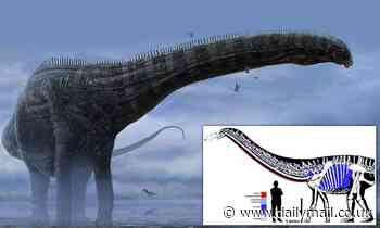 Diplodocid discovered in Montana had a respiratory infection 150 million years ago