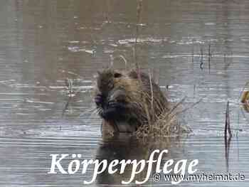 Hier die komplette Serie ! - Lutherstadt Wittenberg - myheimat.de