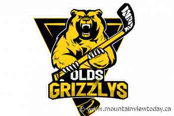 Tough challenge in Drumheller for Olds Grizzlys - Mountain View Today