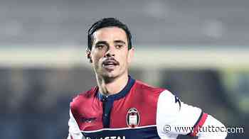 Palermo, fumata nera per Stoian: l'ex Crotone non verrà tesserato - Tutto Lega Pro