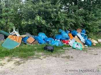 Illegale Müllhaufen lassen sich jetzt per App melden - Stade - Tageblatt-online