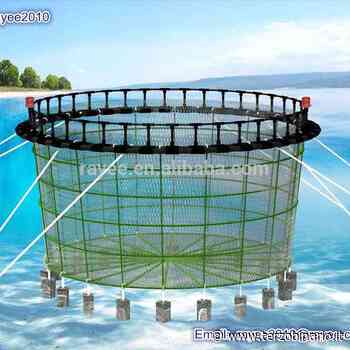 Pd Civitavecchia sulla pescicoltura: "Ci opponiamo alla realizzazione di un'opera invasiva" - TerzoBinario.it