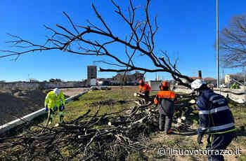 Protezione Civile "Lo Sparviere". Sempre all'opera in città - Il Nuovo Torrazzo