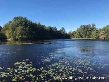 The One Loop Trail In Rhode Island That’s Perfect For A Short Day Hike, No Matter What Time Of Year - Only In Your State