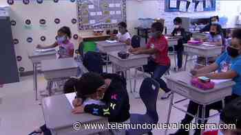 Municipios de Mass. serán libres de decidir si finalizan uso de mascarillas en escuelas - Telemundo Nueva Inglaterra