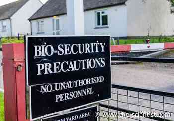 Opinion: Coronavirus and Regulating Access to High-Risk Pathogens - The Scientist