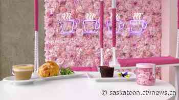 'Ultimate COVID comeback story': Saskatoon’s Little Bird Pâtisserie and Cafe reopens