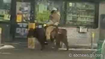WATCH:  Man rides cow through gas station
