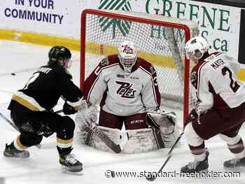 Kingston offence goes cold in 3-1 loss to Peterborough - Standard Freeholder