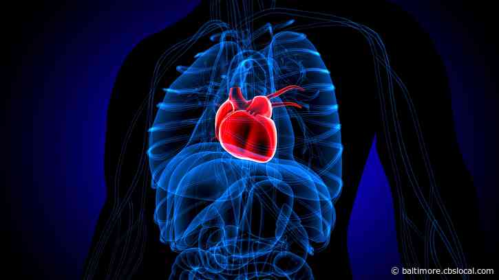 It’s Not Just Love That Can Break Your Heart