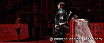 Les Coyotes joueront à l’aréna de l’Université Arizona State