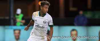 Violence conjugale: Les Timbers libèrent Andy Polo