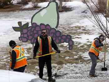 Slip and slide: Crews work around the clock to address slick conditions on Edmonton pathways, city sidewalks