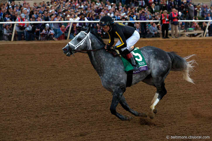 MD-Breds Knicks Go, Aloha West Finalists For Eclipse Awards