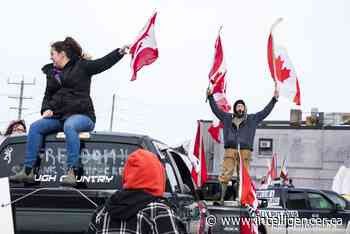 Anti-mandate protestors descend on Quinte West city hall - Belleville Intelligencer