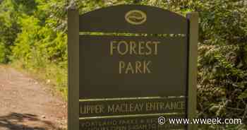 No. 13 Because Forest Park's Nooks and Crannies Can Still Surprise - Willamette Week