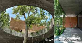 three-generation family house blends into pine tree forest in vietnam - Designboom