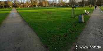 Überlegungen in Papenburg: "Outdoor Werft" im Stadtpark: Gegner fordern Prüfung anderer Standorte - noz.de - Neue Osnabrücker Zeitung