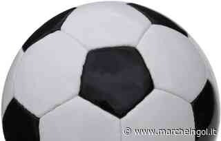 COVID. In Prima Categoria rinviata Montalto-AFC Fermo - marcheingol.it