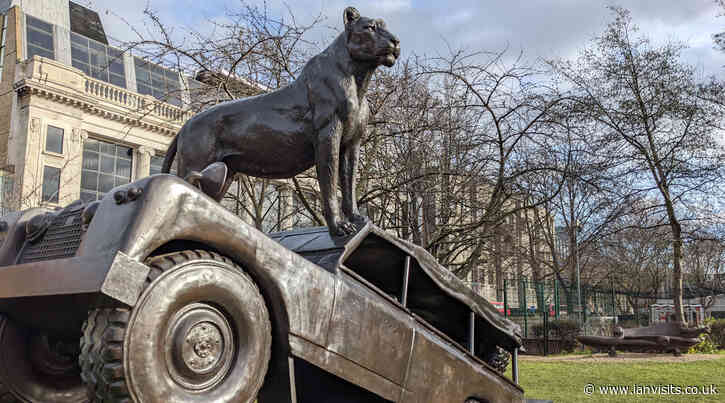 See some lions lounging around Waterloo