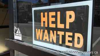 Saskatoon recruitment agency says demand for labour outstripping supply