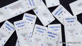 Razzia in Baden-Württemberg: Drei Festnahmen wegen mutmaßlichen Millionenbetrugs mit Coronatests - DER SPIEGEL