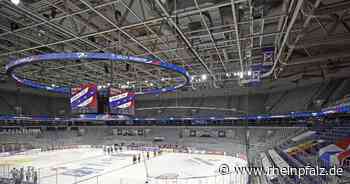 Adler Mannheim bald vor 3000 Fans - Eishockey - Rheinpfalz.de