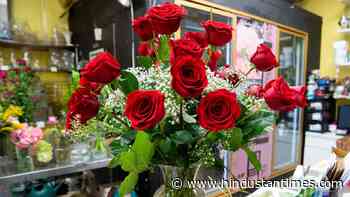 Valentine’s Day: Know the best gifts for each zodiac sign - Hindustan Times