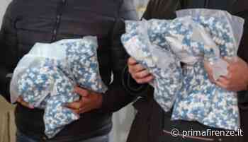 Pillole dimagranti a base di efedrina anche in provincia di Prato: 13 rinvii a giudizio - Prima Firenze