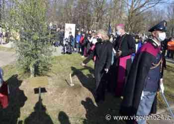 Vigevano: al Parco Parri piantato un ulivo in memoria di Giovanni Palatucci, riconosciuto "Giusto tra le Nazioni" - Vigevano24.it